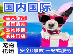 佛山沙堤空运代理国际宠物托运 【国
